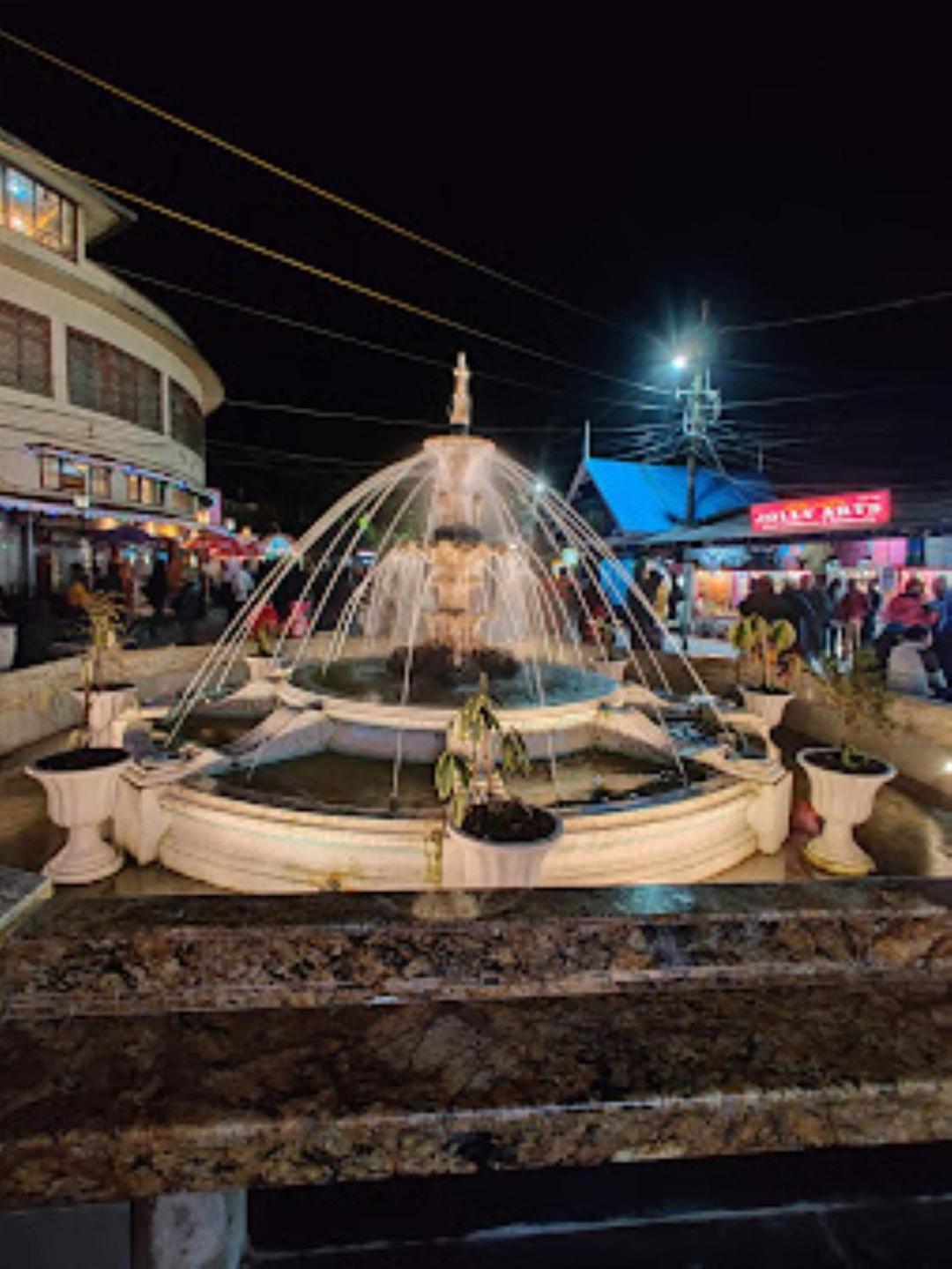 فندق View Point Residency , Darjeeling دارجيلنغ المظهر الخارجي الصورة